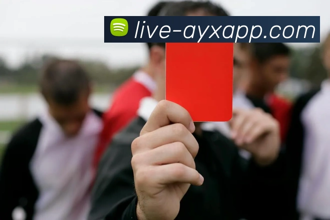 爱游戏体育品牌故事