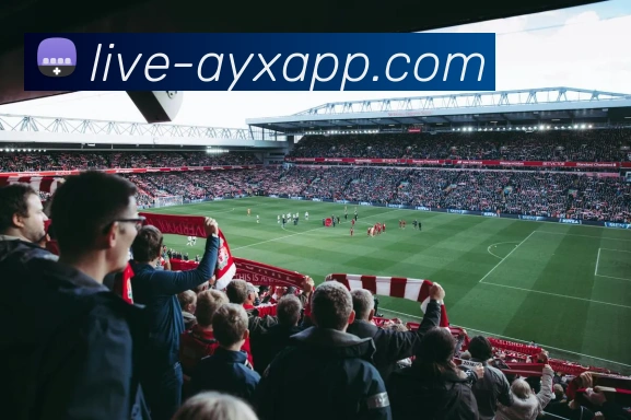 爱游戏体育服务体系