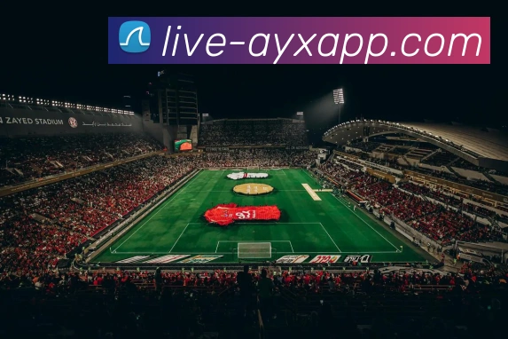 奖项证书